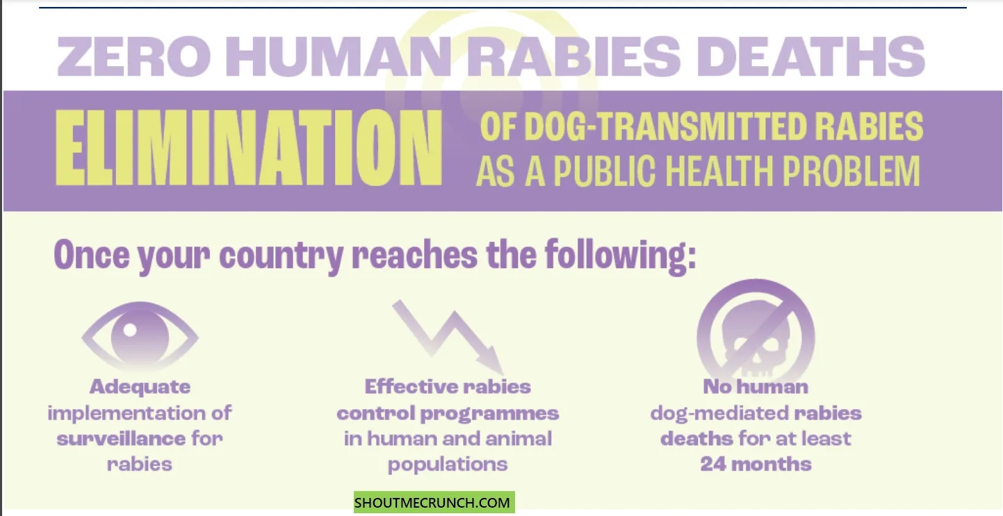 Zero Human Rabies Death